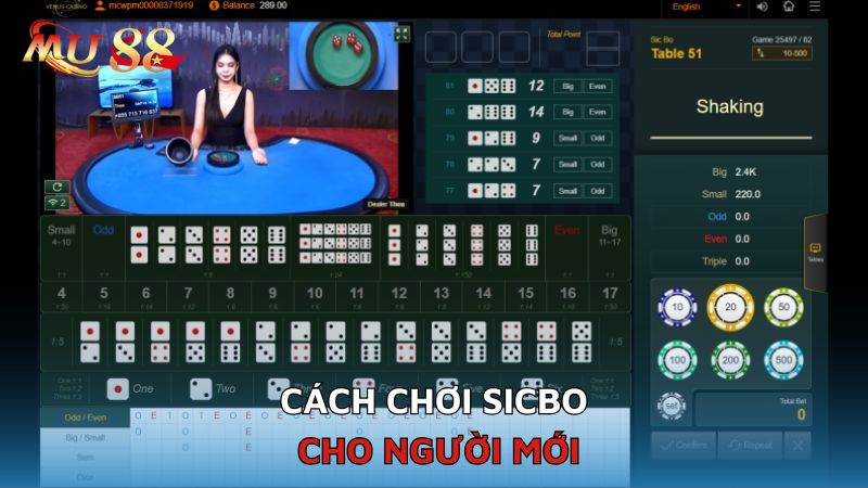 Cách chơi Sicbo cho người mới