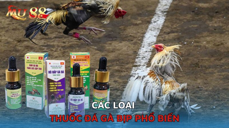 Các loại thuốc gà bịp phổ biến