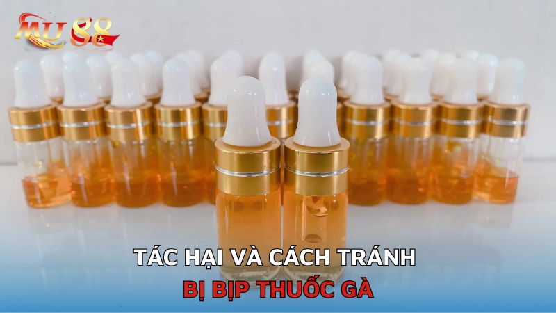 Tác hại và cách tránh bị bịp thuốc gà