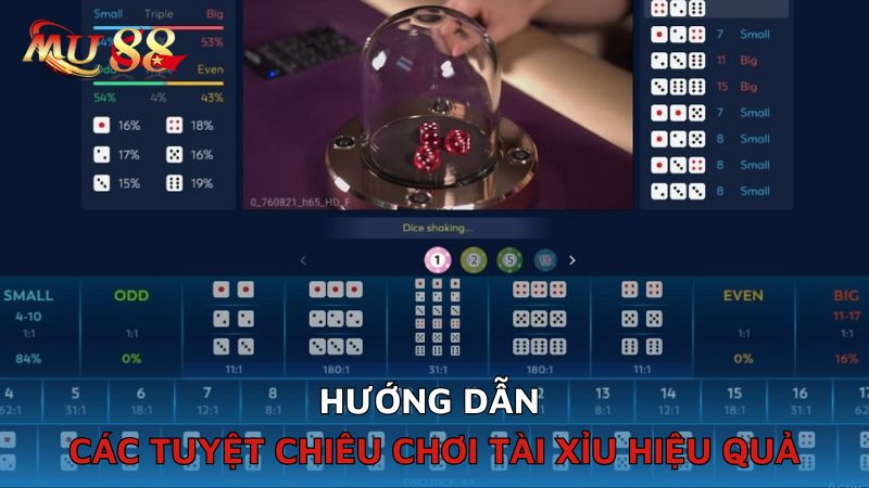 Hướng dẫn các tuyệt chiêu chơi Tài xỉu hiệu quả